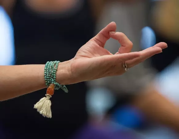 Asana e Pranayama